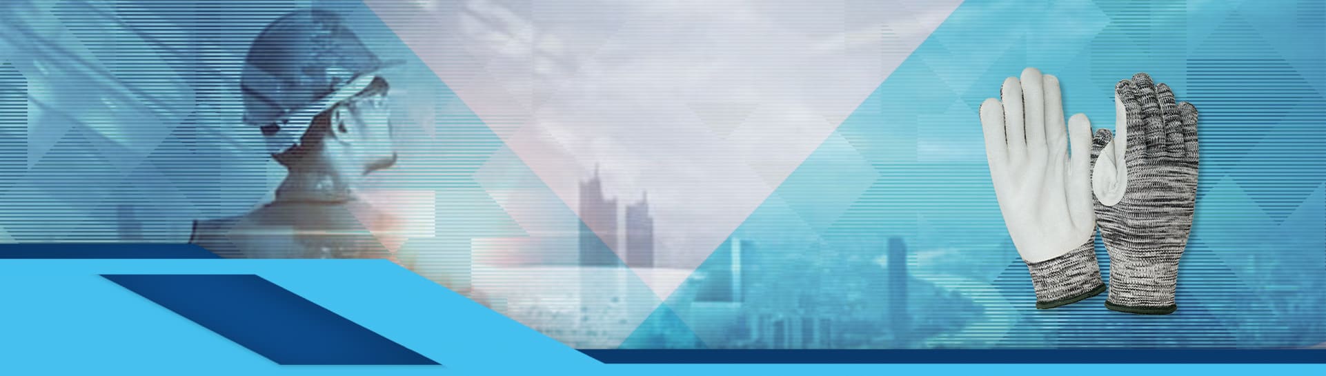 Banner image
