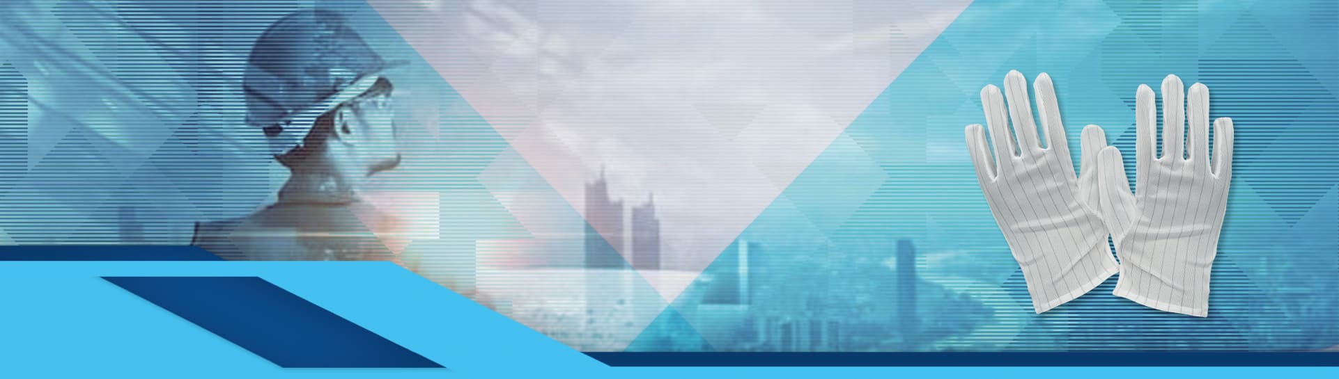 Banner image