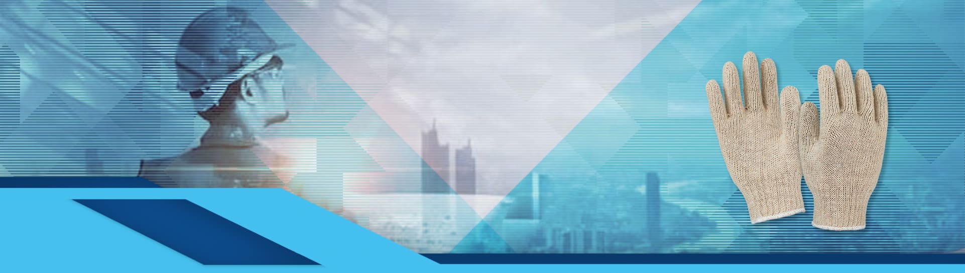 Banner image