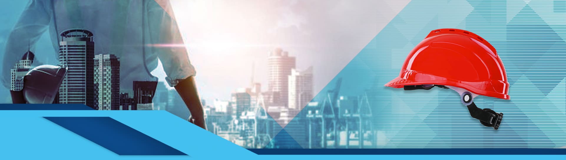 Banner image